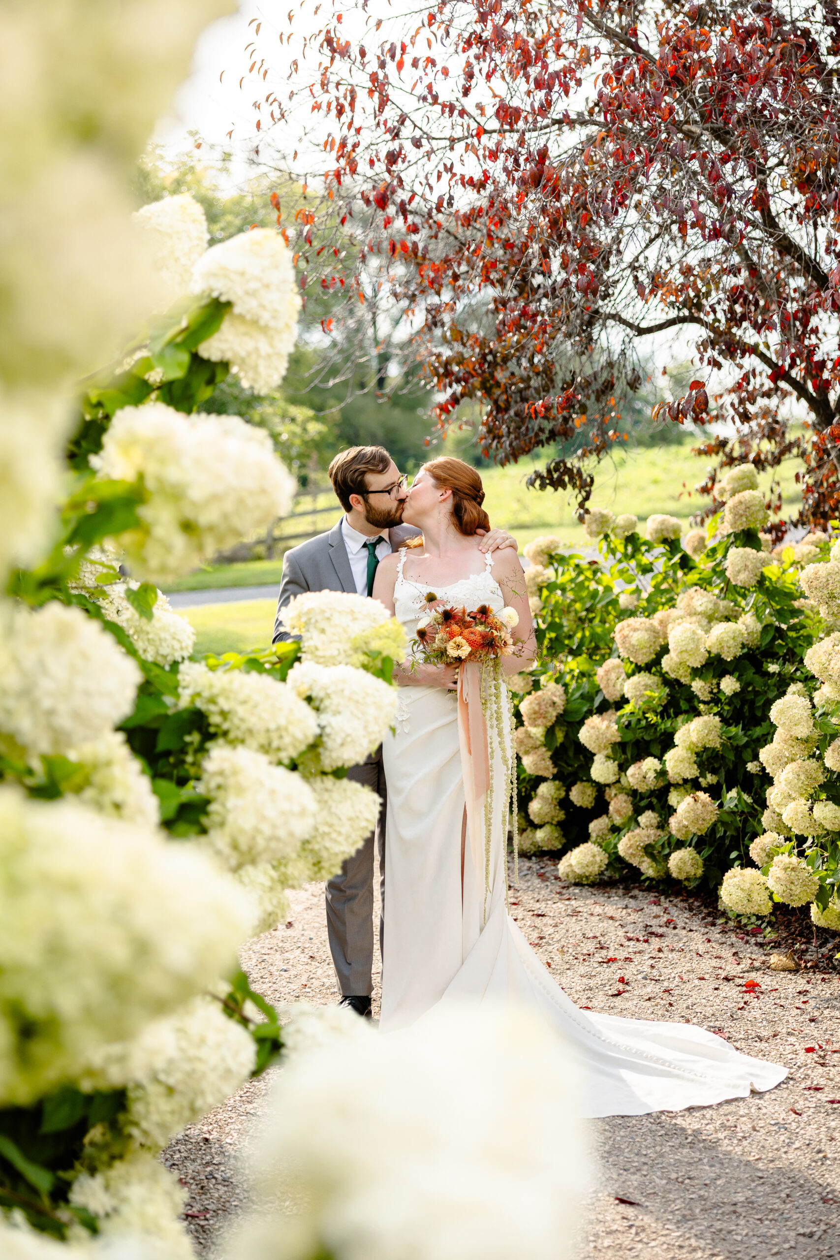 Couple kissing between the hydrangeas at the Big Spring Farm wedding Venue 